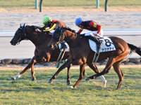 未勝利　ゴール前（外2着）