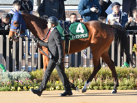 第60回 シンザン記念 （GIII）　パドック