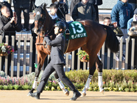 第60回 シンザン記念 （GIII）　パドック