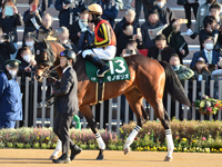 第60回 シンザン記念 （GIII）　パドック（騎乗周）