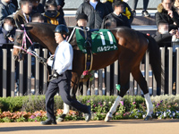 第60回 シンザン記念 （GIII）　パドック