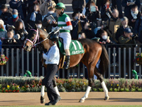 第60回 シンザン記念 （GIII）　パドック（騎乗周）