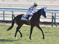 新馬　本馬場入場