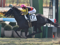 未勝利　ゴール前