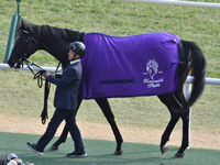 未勝利　口取り