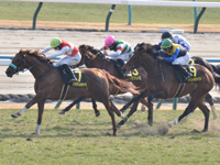 若駒ステークス （Ｌ）　直線（外3着）