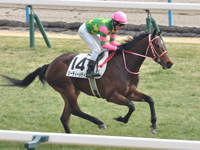 未勝利　キャンター