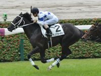 阪神5R　新馬　チュウワカーネギー
