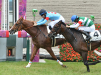 阪神5R　新馬　サレジオ