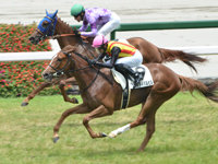 阪神5R　新馬　フェスティバルヒル