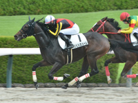 阪神1R　未勝利　リヒトミューレ