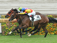 阪神5R　新馬　ブルースカイブルー