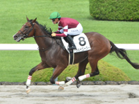 阪神6R　新馬　ウェイニースー