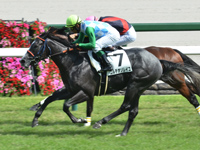 阪神2R　未勝利　コルテオソレイユ