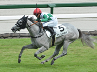 阪神4R　新馬　ホワイトオーキッド