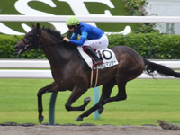 京都3R　新馬　パイロマンサー