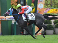 京都4R　新馬　マーブルパレス