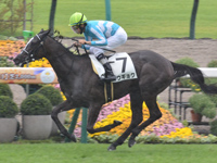 京都5R　新馬　コウギョク