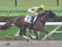 東京4R　新馬　ウィッキドピケット