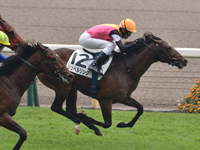 東京5R　新馬　シュペルリング