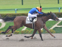 東京6R　新馬　セイントエルモズ