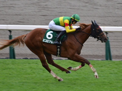 第11回 サウジアラビアＲＣ（ＧIII）　エコロアルバ