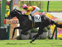 京都5R　新馬　ジャスティンビスタ