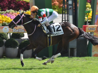 京都6R 新馬　バルセシート