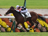 京都2R　未勝利　サーディンラン