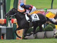 京都5R　新馬　ヴァロンブローサ