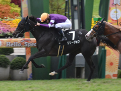 京都9R　もみじＳ（OP）　リリージョワ