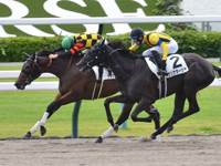 京都1R　未勝利　サリカリーフォリア