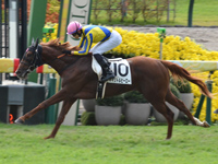 京都2R　未勝利　マイリトルヒーロー