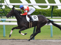 京都4R　新馬 ダノンバーボン