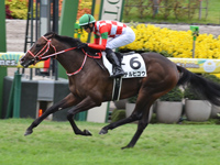 京都5R　新馬　テルヒコウ