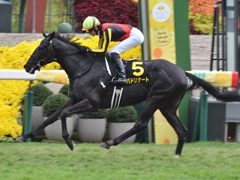 京都9R　萩ステークス(L)　バドリナート