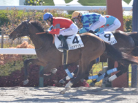 京都2R　未勝利　システマソラー