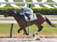 京都6R　新馬　バートラガッツ