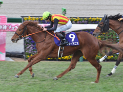 第77回 阪神ジュベナイルＦ（ＧＩ）　スターアニス