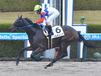 阪神1R　未勝利　ソルチェリア