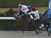 阪神4R　未勝利　ケイアイアマゾン