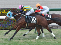 阪神9R　万両賞（1勝）　アスミル