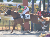 京都2R　未勝利　タガノエルー