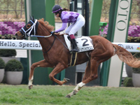 京都6R　1勝クラス　ジュウリョクピエロ