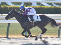 京都2R　未勝利　サヴォアフェール