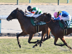 第60回 シンザン記念（ＧIII） サンダーストラック