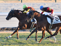 京都12R　未勝利　ケールハイム