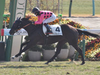 京都5R　新馬　クリスレジーナ