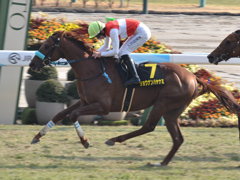 若駒ステークス（Ｌ）　ショウナンハヤナミ