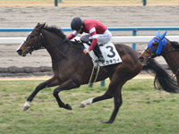 京都5R　未勝利（牝）　ピカキウイ